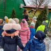 dbamy o ptaki zimą